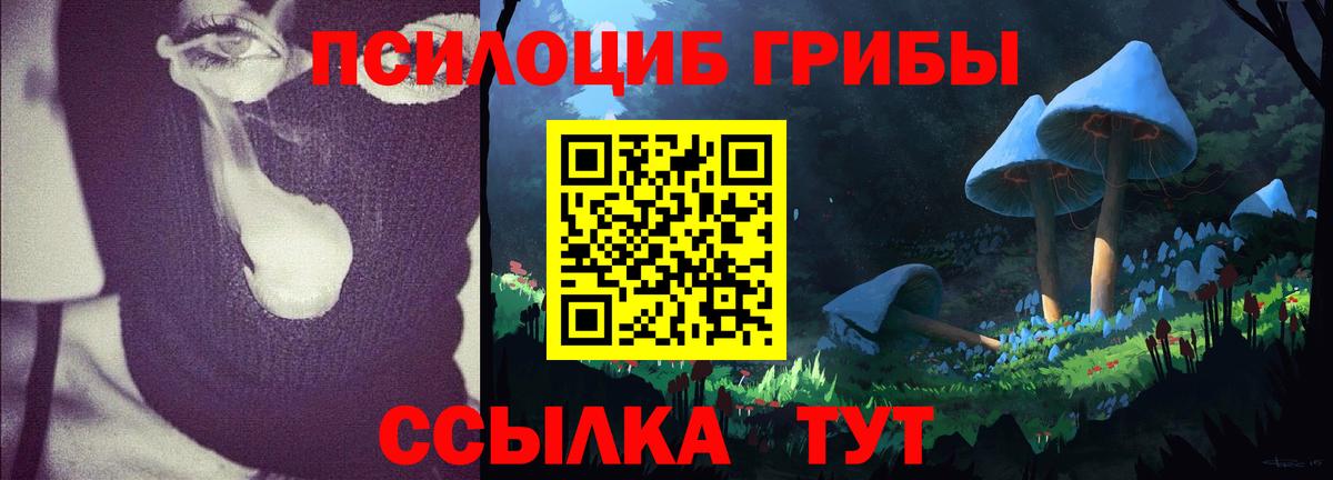 Ивантеевка  Псилоцибиновые грибы мицелий  Вход с VPN  купить наркотик  Галлюциногенные грибы GOLDEN TEACHER 